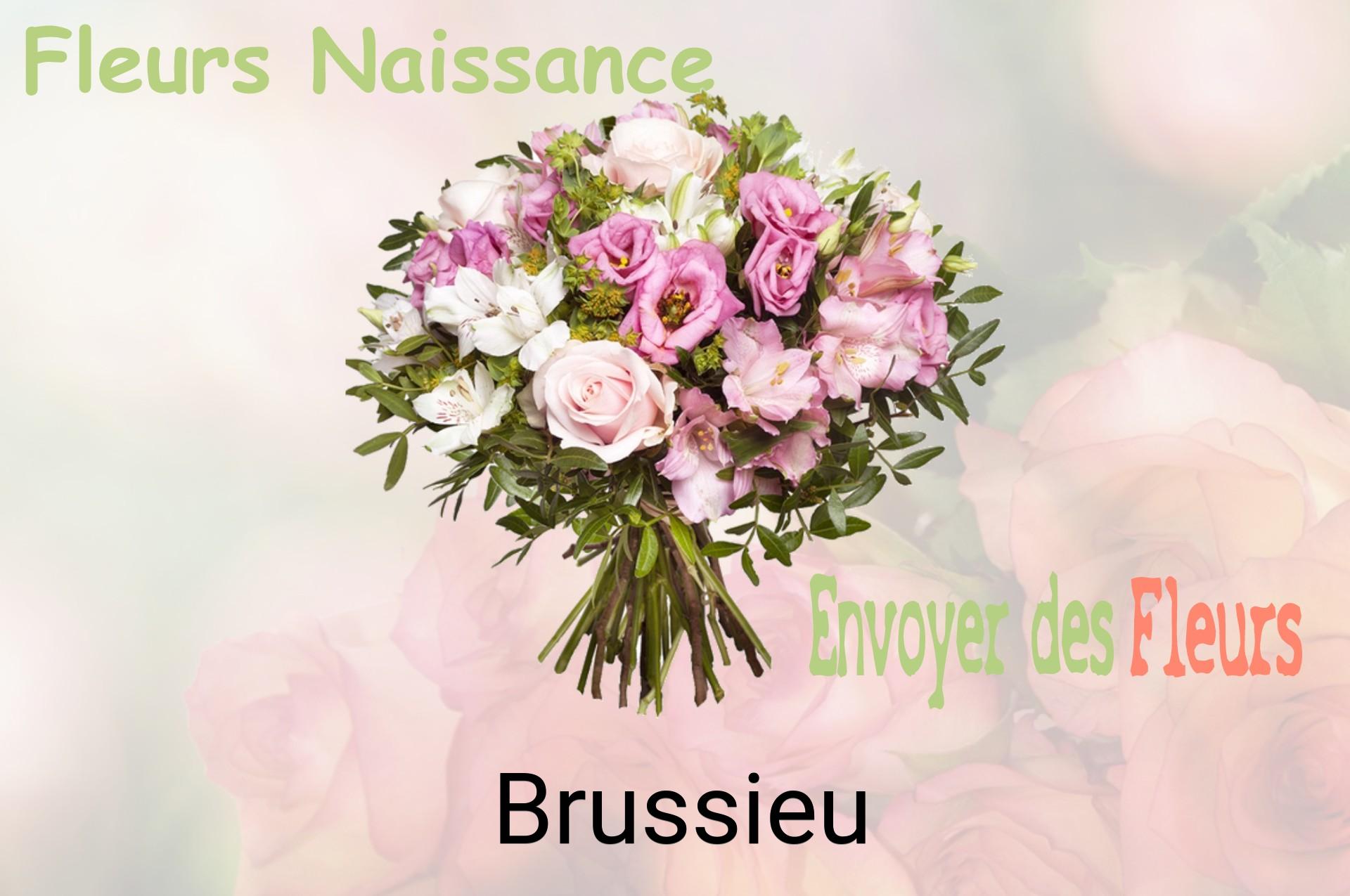Bouquet de fleurs de naissance livré à Brussieu