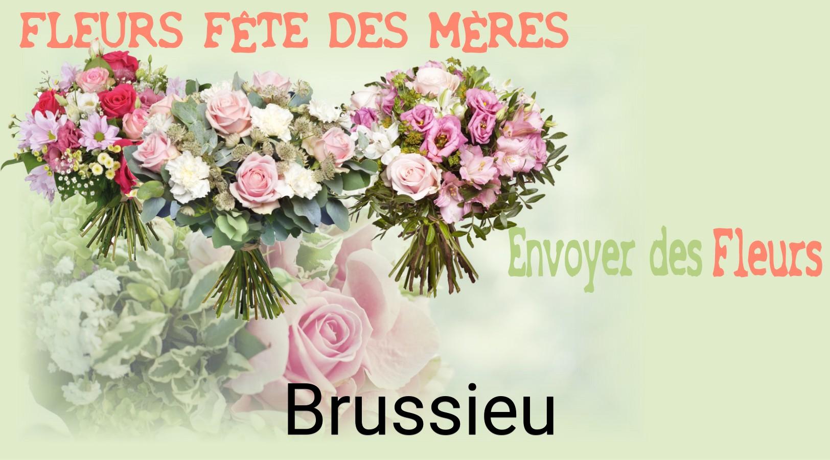 Bouquet de Fête des Mères livré à Brussieu