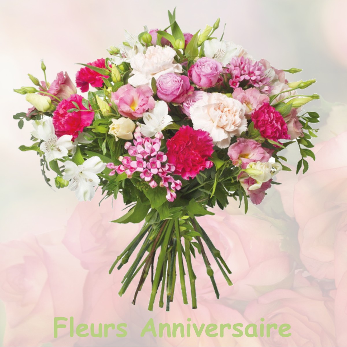 fleurs anniversaire BRUSSIEU
